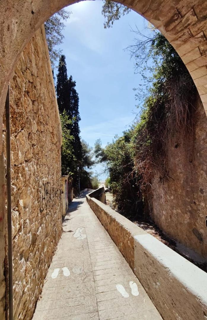 Le Coq Massolin Roquebrune-Cap-Martin Exterior foto